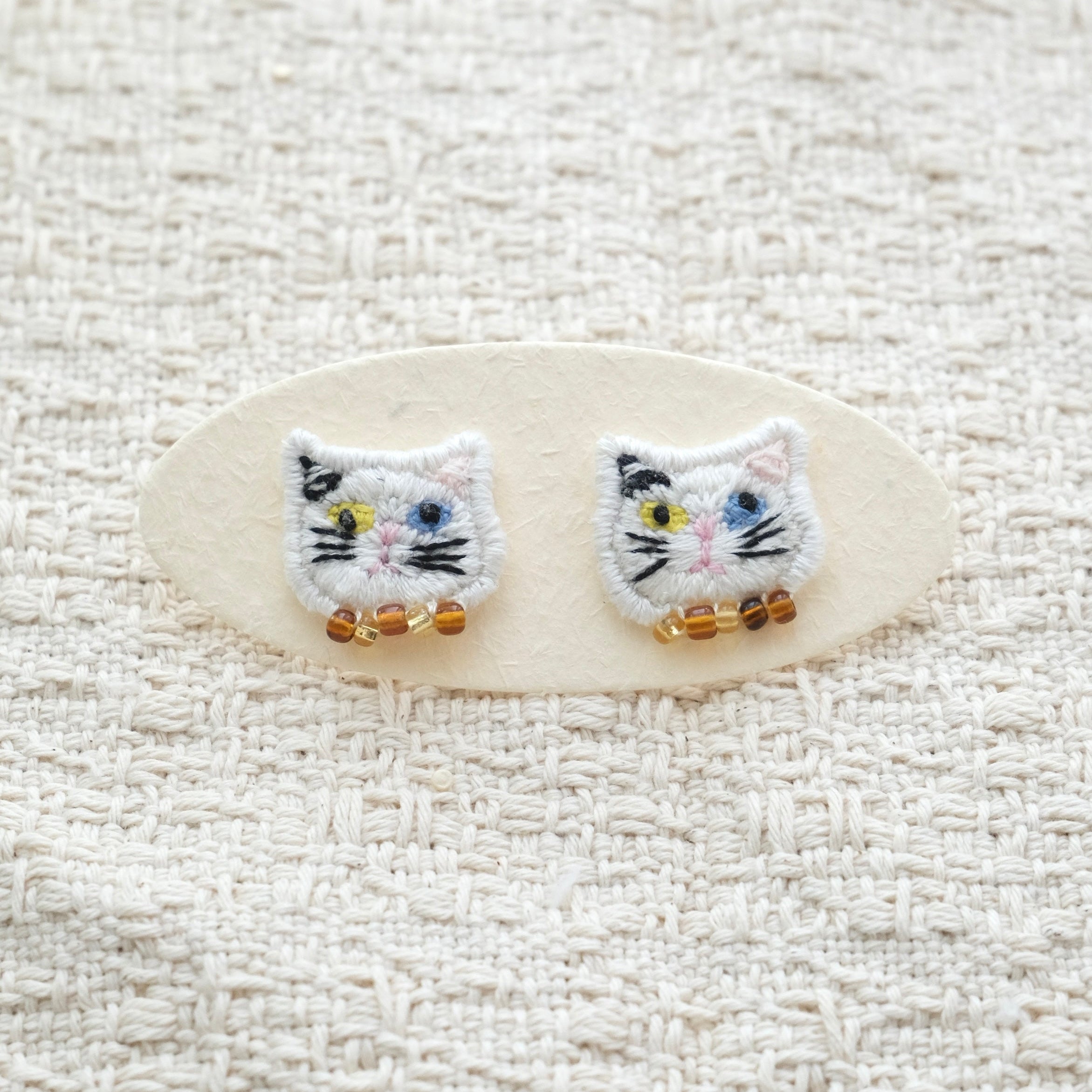 Odd-eyed Cat